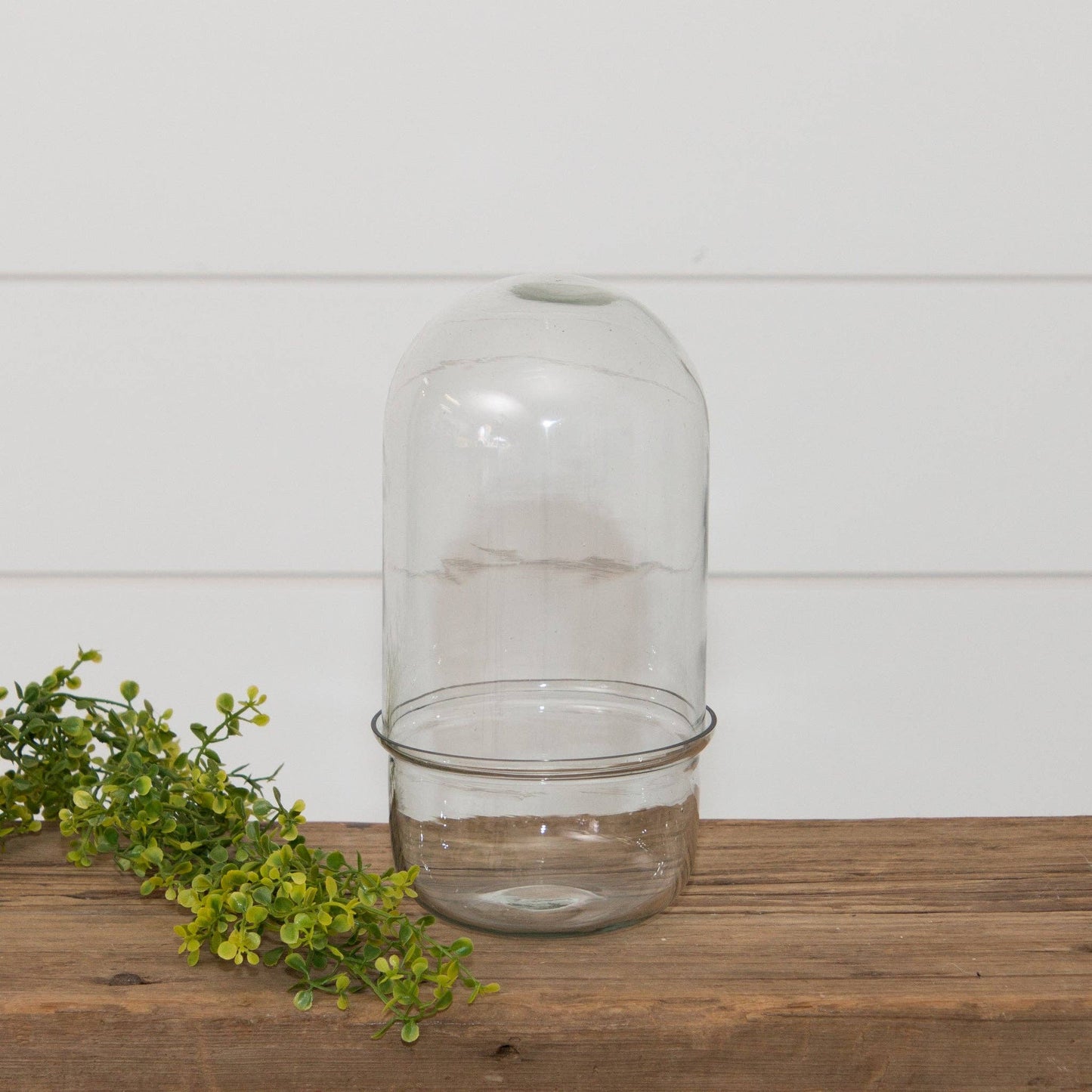 Glass Cloche Terrarium With Glass Base