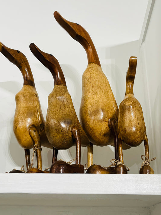 Duck w/Shoes