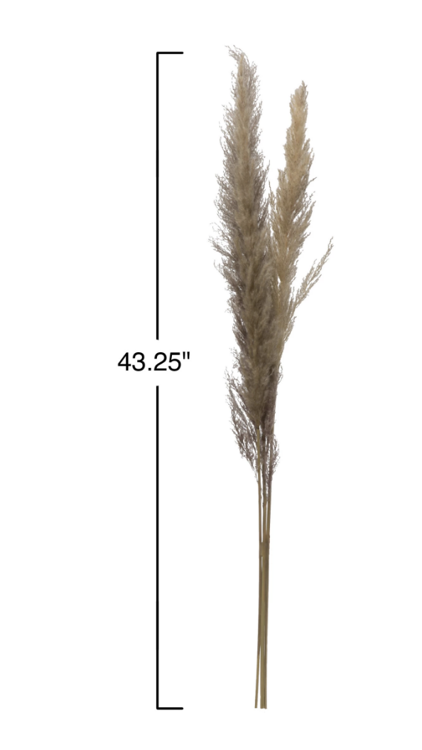 Dried Natural Pampas Grass Bunch