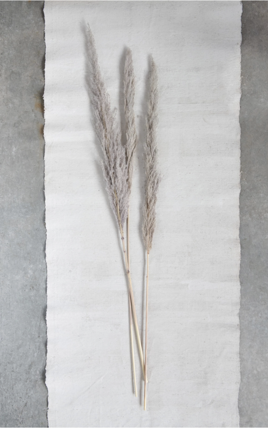 Dried Natural Pampas Grass Bunch