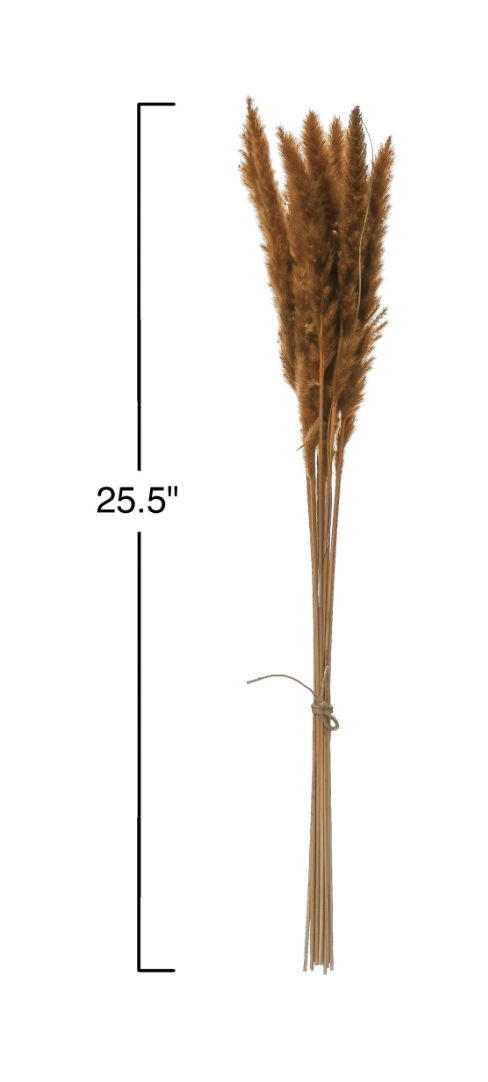 Dried Natural Pampas Grass Bunch