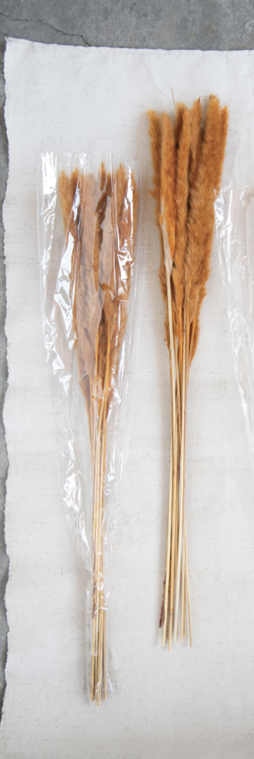 Dried Natural Pampas Grass Bunch