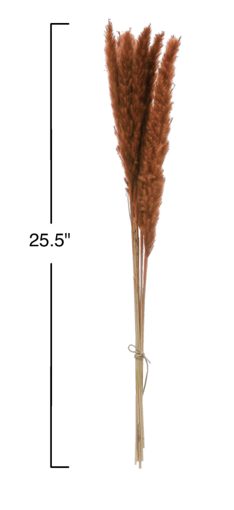 Dried Natural Pampas Grass Bunch