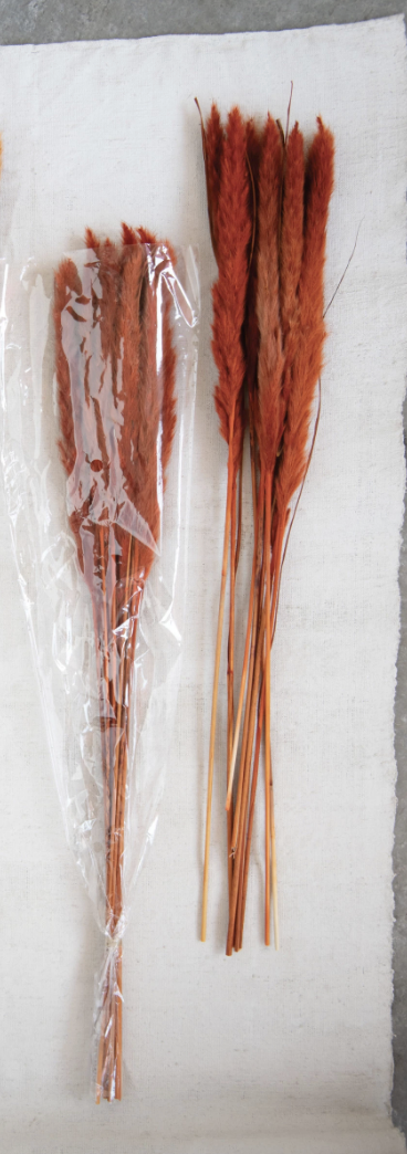 Dried Natural Pampas Grass Bunch