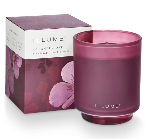 Oleander Oak Refillable Boxed Glass Candle PLANT BASED