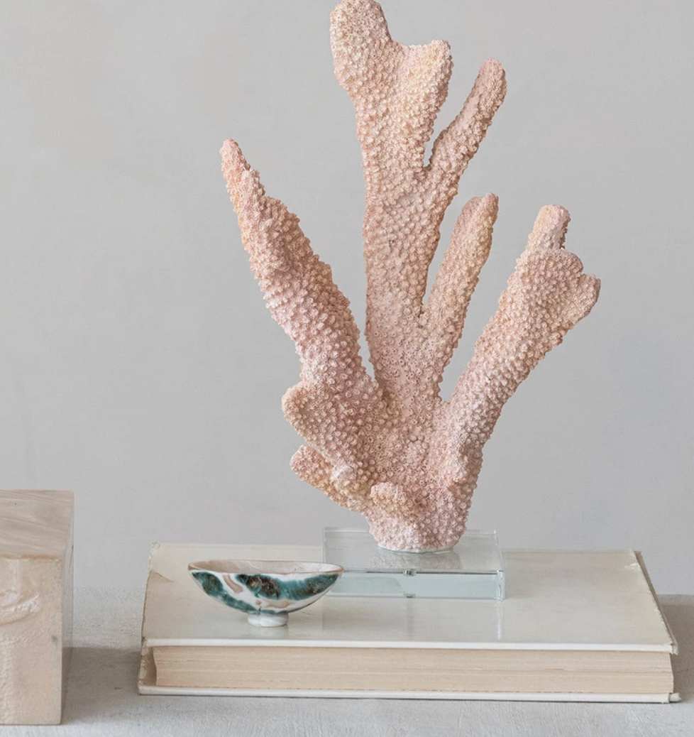 Decorative Natural Shell Footed Dish (Each One Will Vary) SKU#DG1827 In Stock $4.00 EA $3.60 EA Collection: Dreamy Min 12 12 Add to Cart  Added items to cart Specifications        You May Also Like