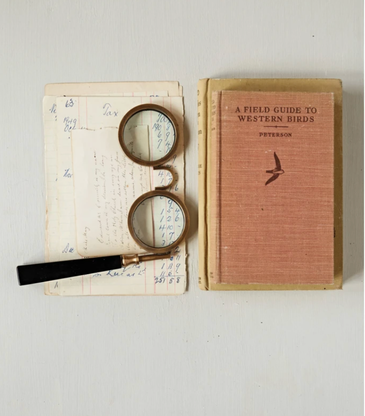 Spectacle Magnifying Glass